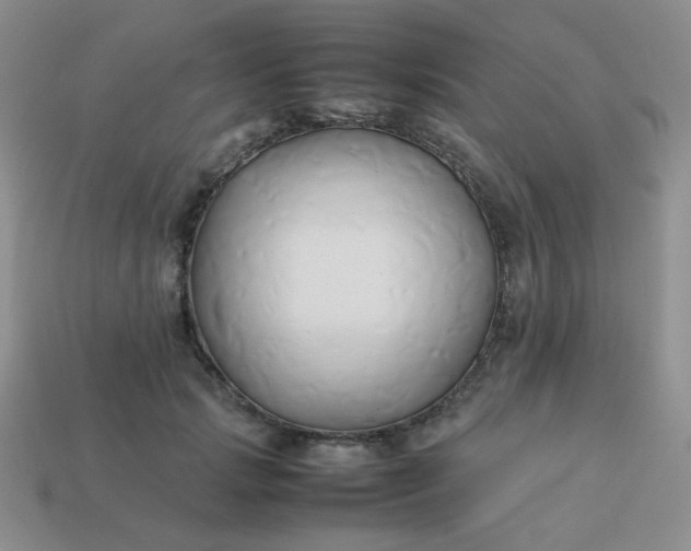 X0000114150749200910221546