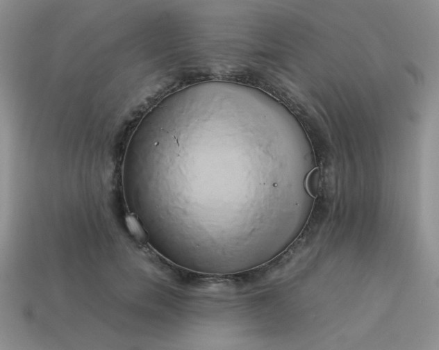 X0000114150750200910221546