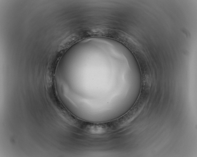 X0000114150751200910221546