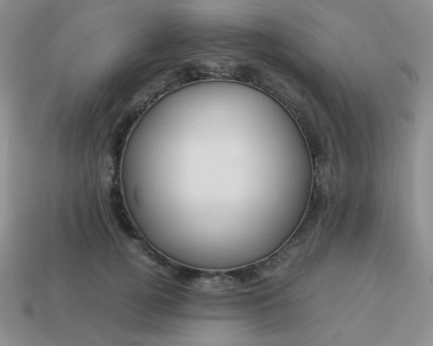 X0000114150752200910221546