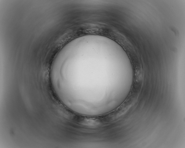 X0000114150753200910221546