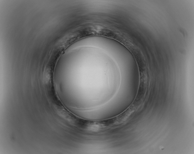 X0000114150754200910221546