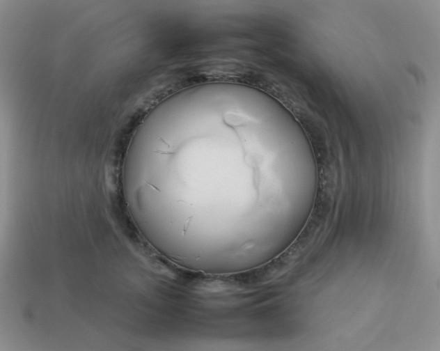 X0000114150755200910221546