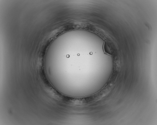 X0000114150756200910221546