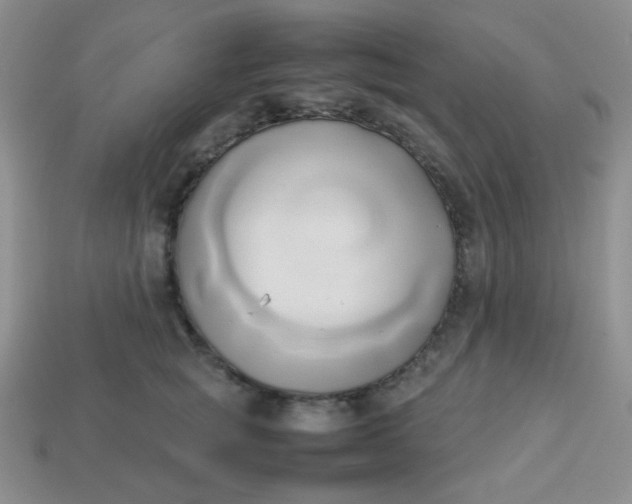 X0000114150757200910221546