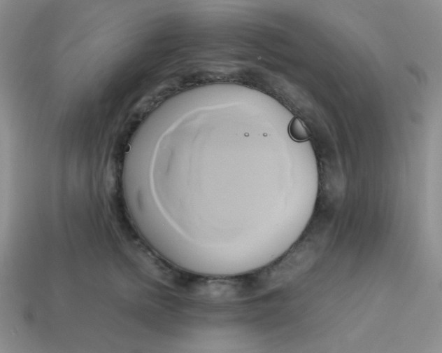 X0000114150758200910221546