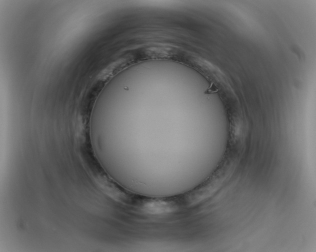 X0000114150759200910221546