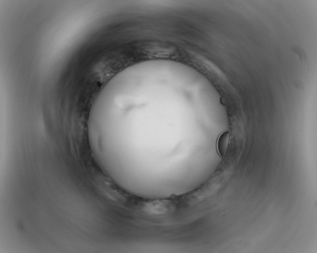 X0000114150761200910221546