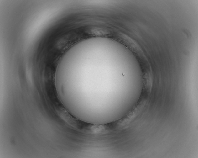 X0000114150762200910221546