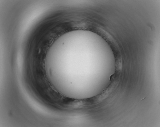 X0000114150764200910221546