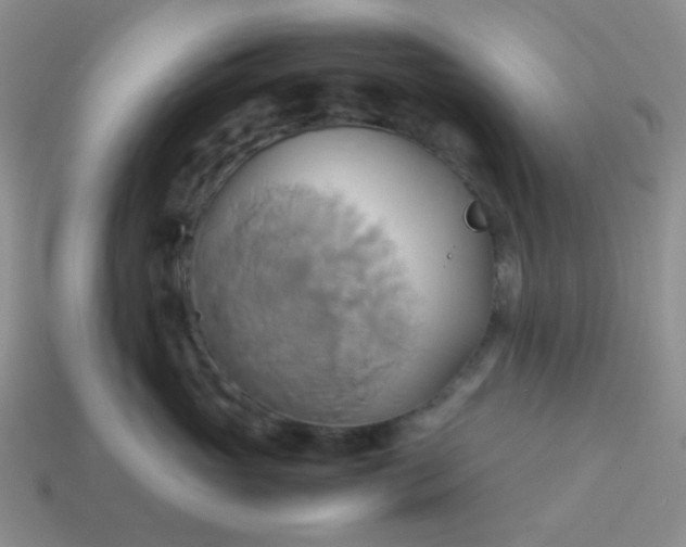 X0000114150765200910221546