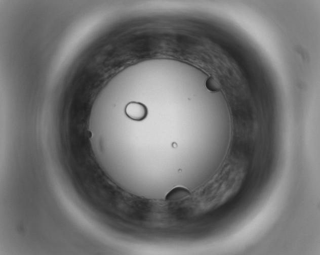 X0000114150766200910221546