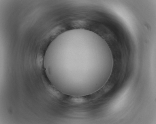 X0000114150767200910221546