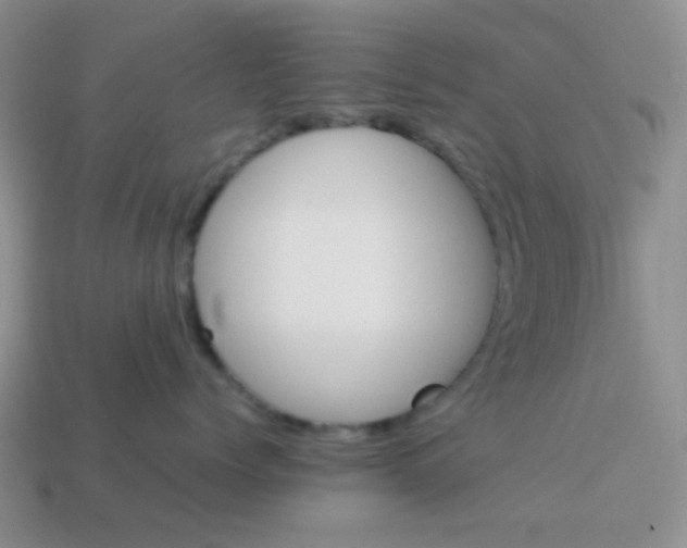 X0000114150768200910221546