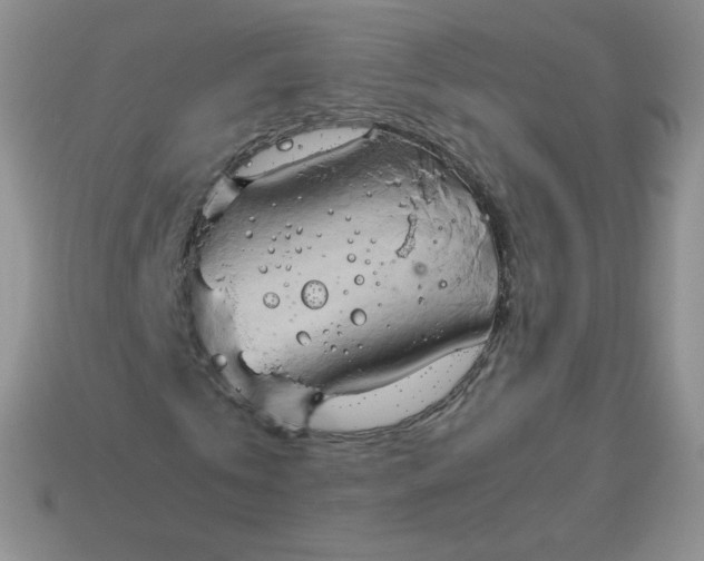 X0000114150769200910221546