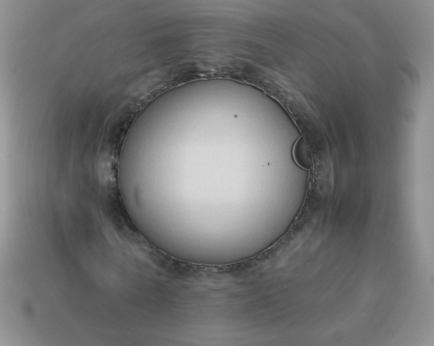 X0000114150770200910221546