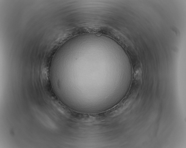 X0000114150772200910221546