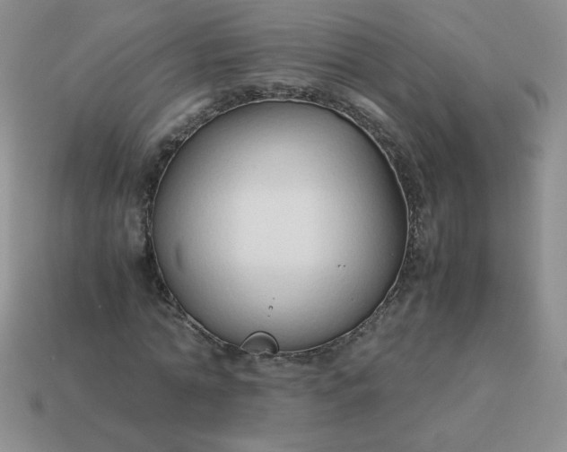 X0000114150774200910221546