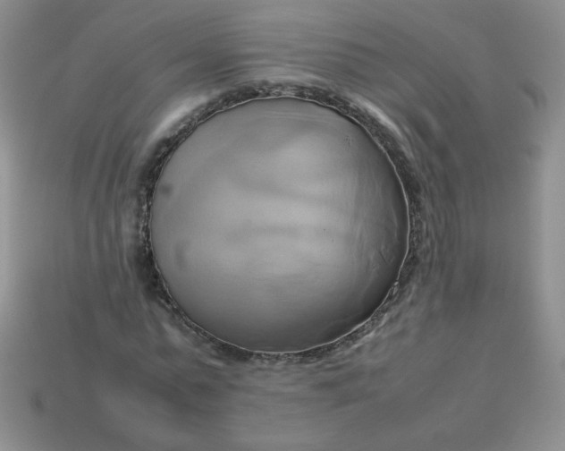 X0000114150775200910221546