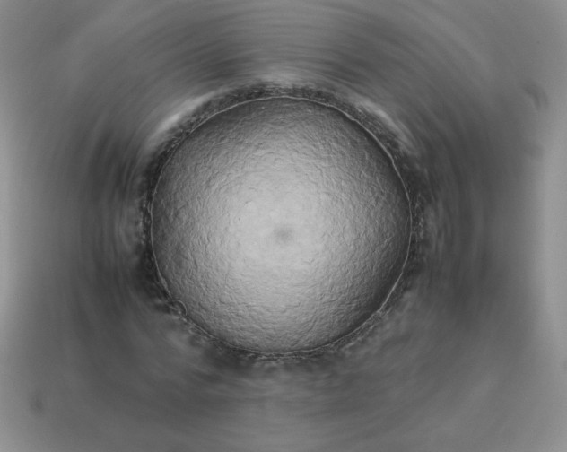 X0000114150776200910221546