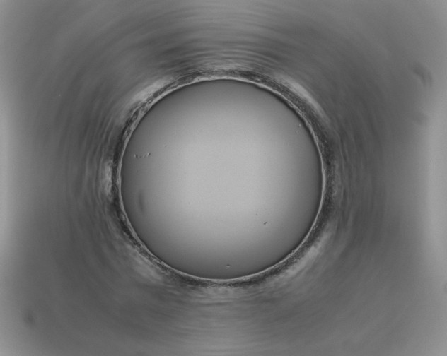 X0000114150777200910221546