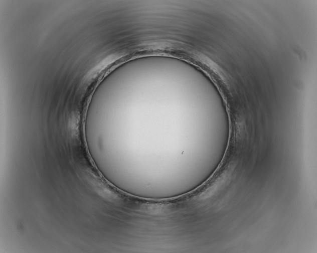 X0000114150778200910221546