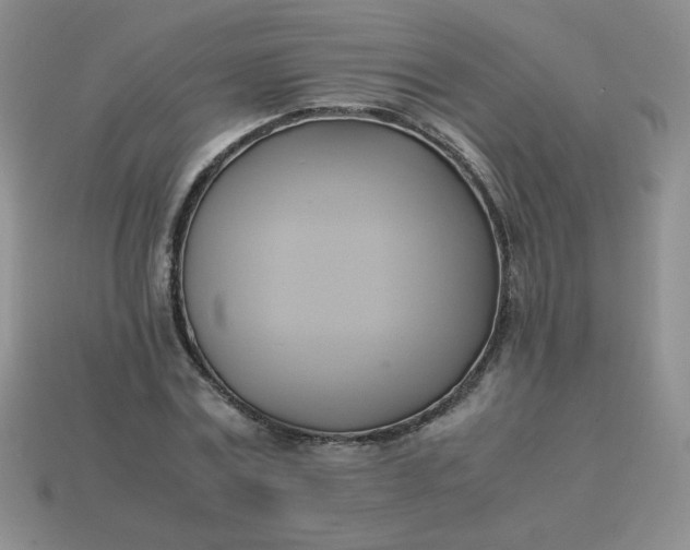 X0000114150779200910221546