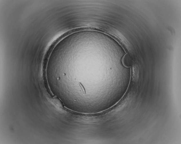 X0000114150780200910221546