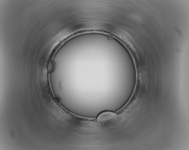 X0000114150781200910221546