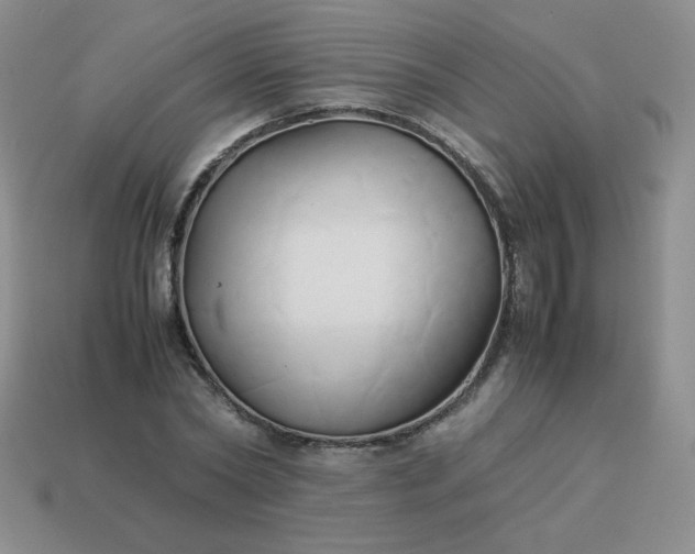 X0000114150782200910221546