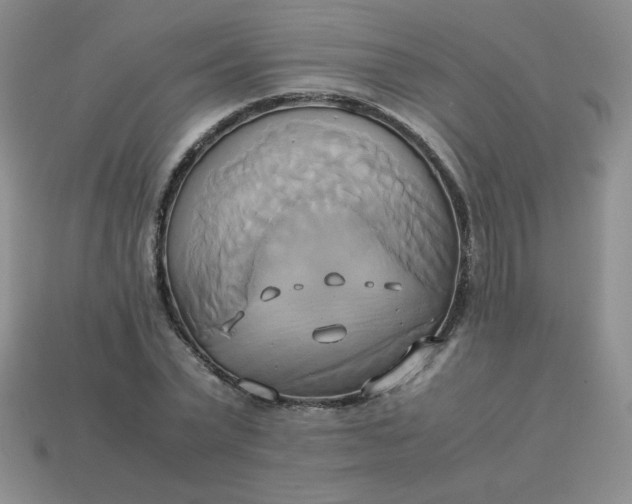 X0000114150783200910221546