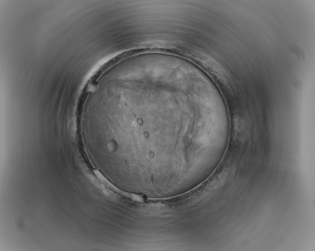 X0000114150784200910221546