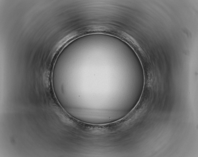 X0000114150786200910221546