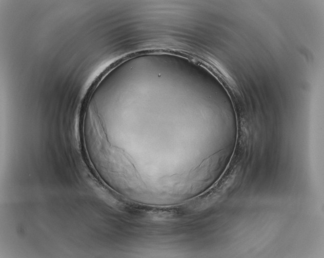 X0000114150788200910221546