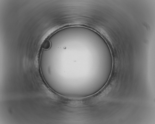 X0000114150789200910221546