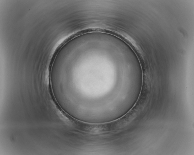 X0000114150791200910221546