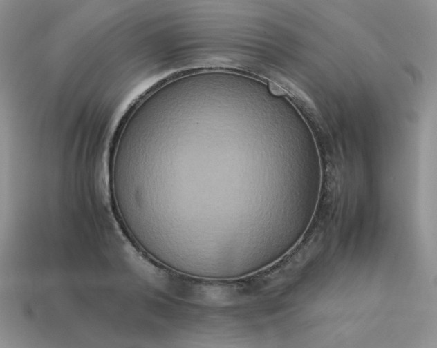 X0000114150792200910221546