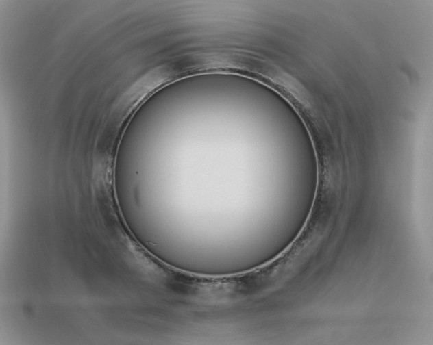 X0000114150793200910221545