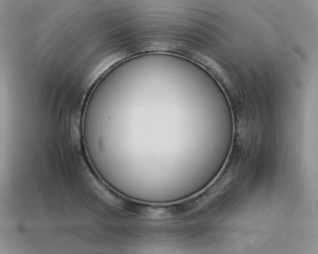 X0000114150794200910221545