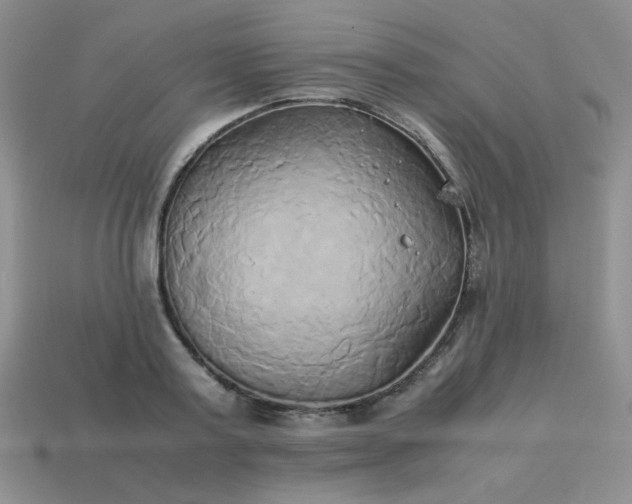 X0000114150795200910221545