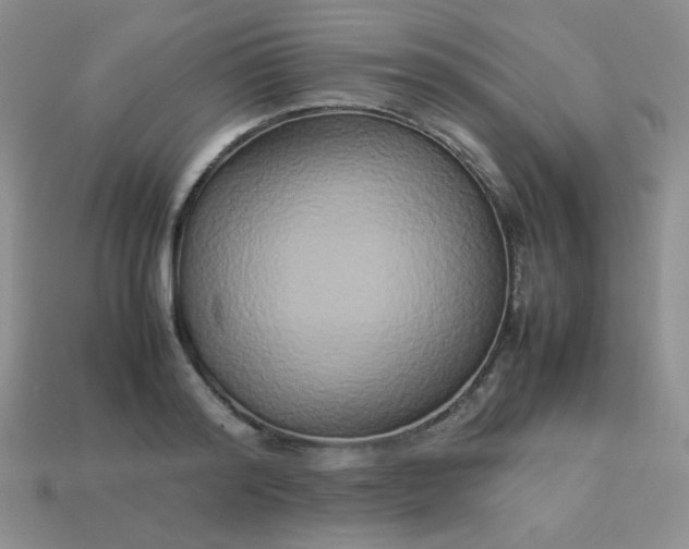 X0000114150796200910221545