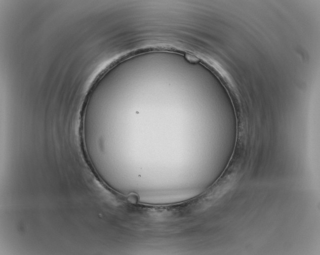 X0000114150799200910221545