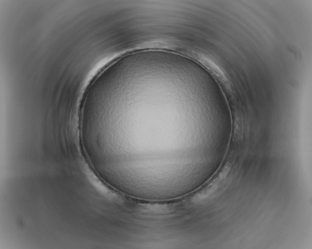 X0000114150800200910221545