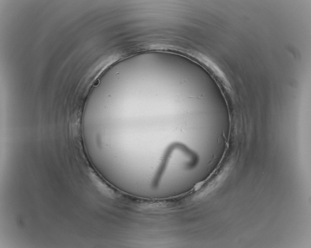 X0000114150801200910221545