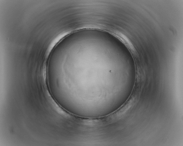 X0000114150804200910221545