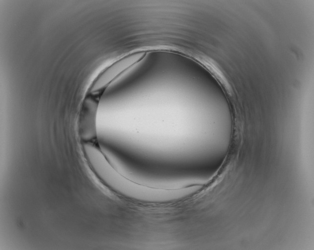 X0000114150805200910221545