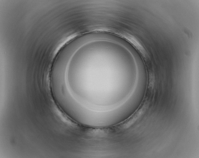 X0000114150806200910221545