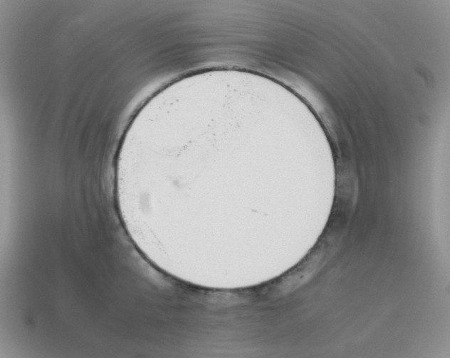 X0000114150807200910221545