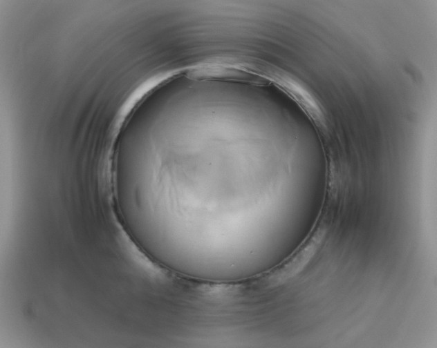 X0000114150808200910221545