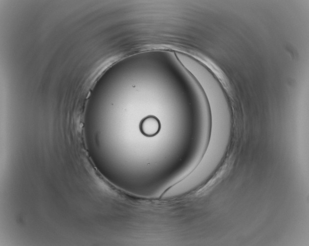 X0000114150809200910221545